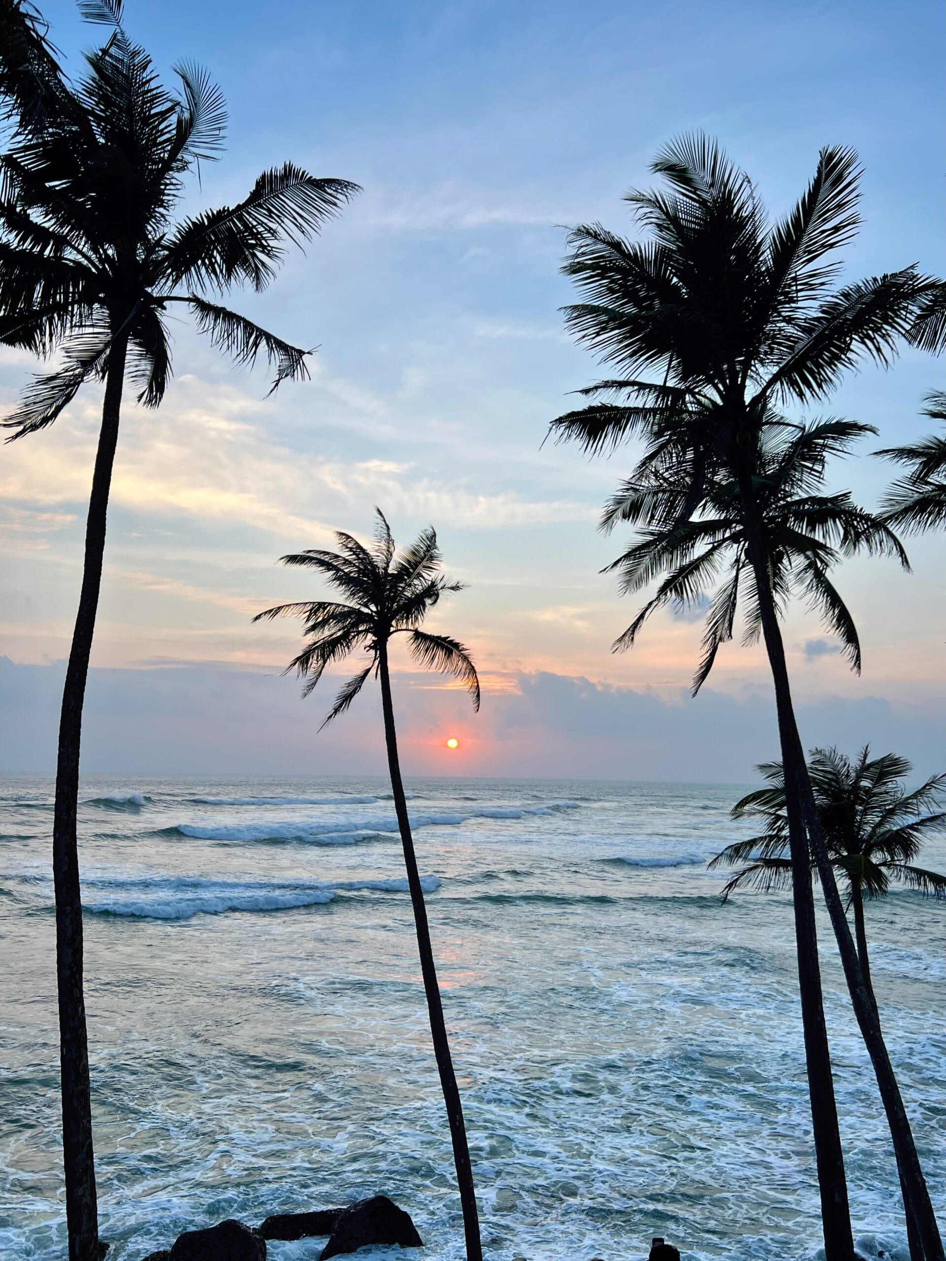 Palmeras al atardecer en Coconut tree hill